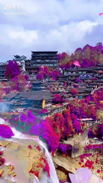 逃离壳牌岛