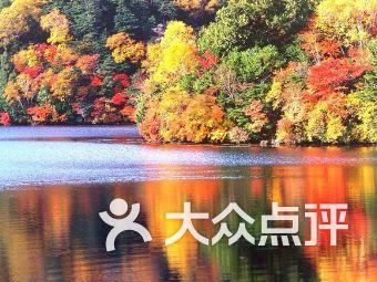 拯救巧虎3