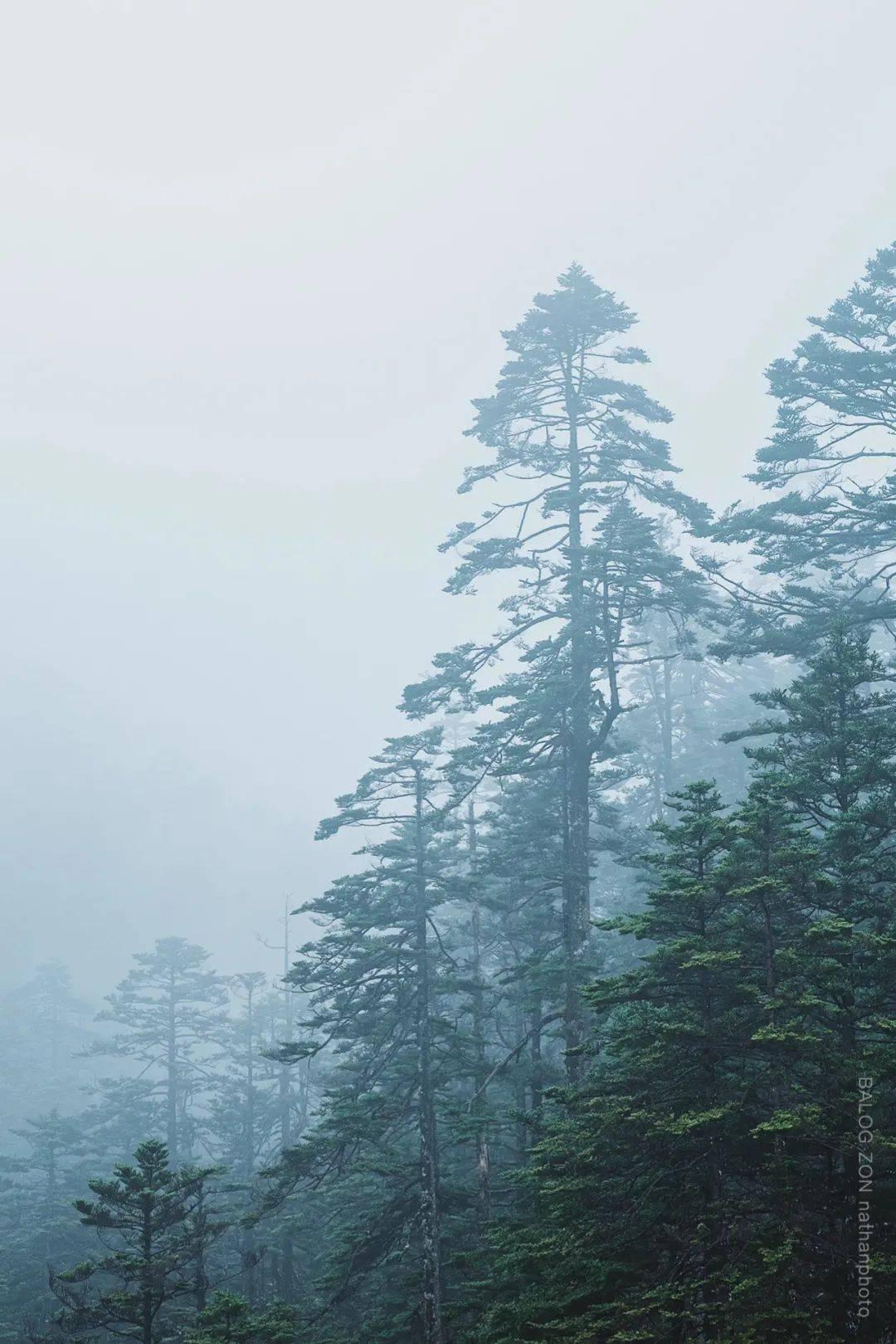 松动的水管